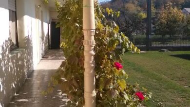 Kantár-hegyi Vendégház Máza 