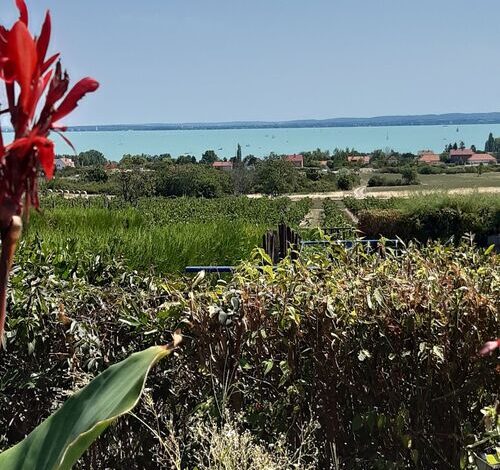 Kapitány Apartman Lovas 