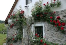 Kapolcs Cottage Vendégház Kapolcs 