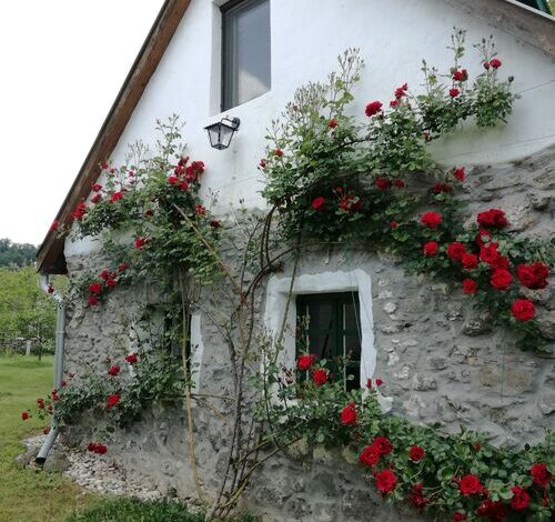 Kapolcs Cottage Vendégház Kapolcs 