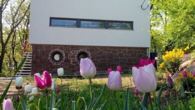 Káptalanfüred Apartman Balatonalmádi 