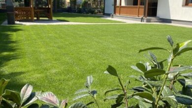 Karinthy Ház Siófok 