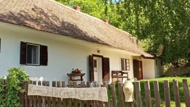 Karmos Julcsi Öreg Háza Zengővárkony 