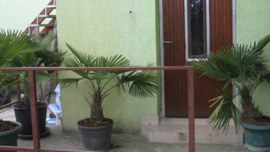 Kárpáti Motel Budapest 