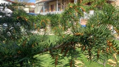 Kata Vendégház Noszvaj 