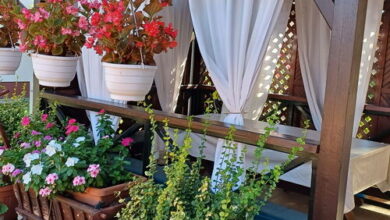 Katalin Apartman Békéscsaba 