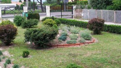 Katalin Vendégház Sárospatak 