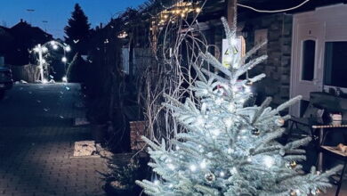 Katica Apartmanok Egerszalók 