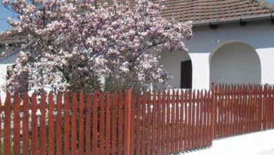 Katinka Vendégház Tiszadob 