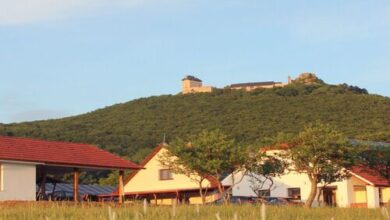 Kék-Lak Vendégház Mogyoróska 