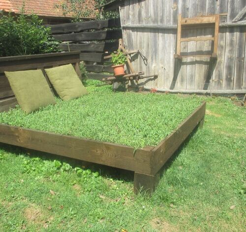 Kéknefelejcs Vendégház Szatta 