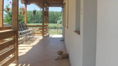 Kékszilva Vendégház Pap 