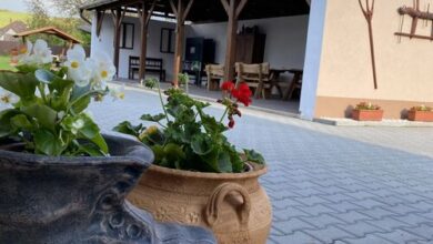 Kelemen Vendégház Ludányhalászi 