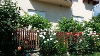 Kerekes Kút Vendégház Noszvaj 