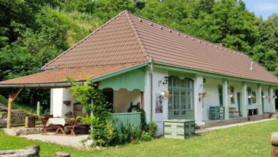 Két Bagoly Vendégház Vágáshuta 