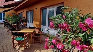 Két Sirály Apartman Siklós 