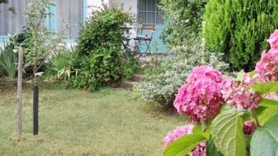 Kétpatkós Vendégház Vonyarcvashegy 