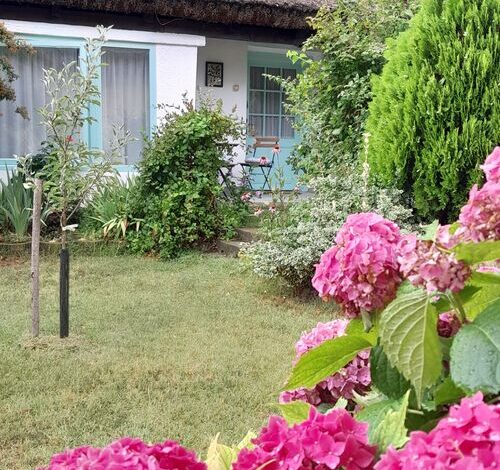 Kétpatkós Vendégház Vonyarcvashegy 