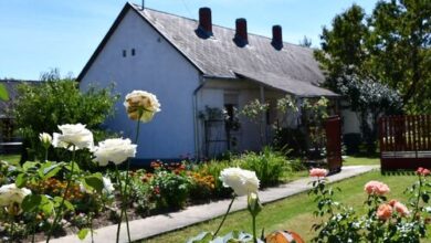 Kézműves Udvar Vendégház Murakeresztúr 