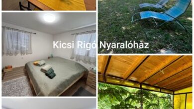 Kicsi Rigó Nyaralóház Lakitelek 