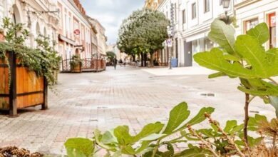 Király 40 Apartman Pécs 