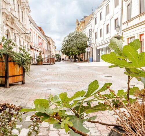Király 40 Apartman Pécs 