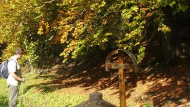 Király Ház Magyarpolány 