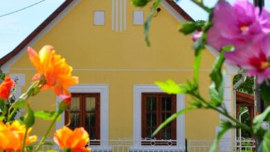 Kis-Balatoni Ökoporta Zalaszabar 