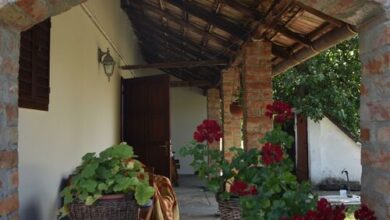 Kis Ház Apartman Tiszaszőlős 