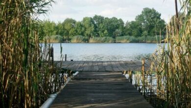 Kis Tisza Horgász Vendégház Tiszaug 