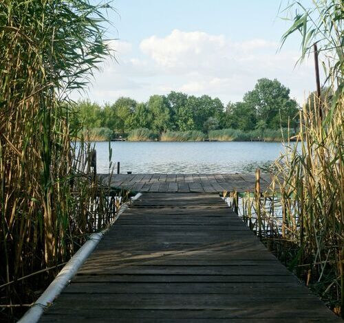 Kis Tisza Horgász Vendégház Tiszaug 