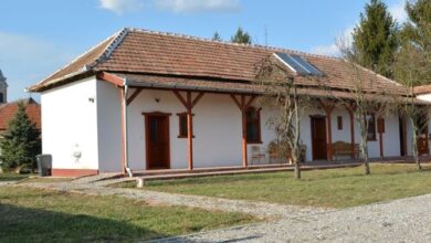 Kis kócsag PihenőPorta Sarud 