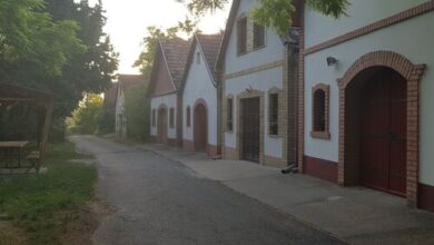 Kis sori Vendégház Császártöltés 