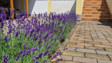 Kishegyi Vendégház Zalaegerszeg 