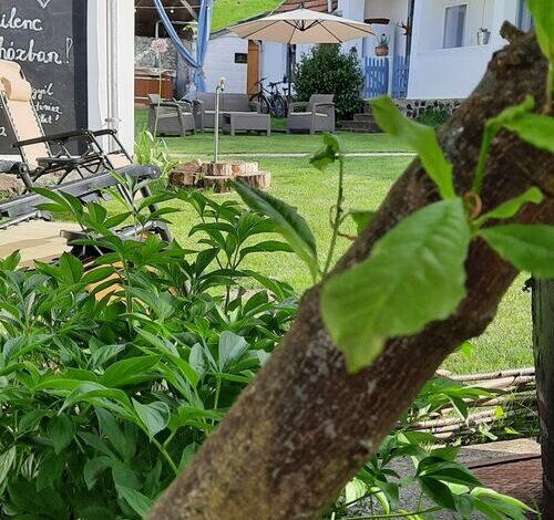 Kiskilenc Vendégház Szarvaskő 