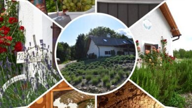 Kisleshegy Vendégház Dörgicse 