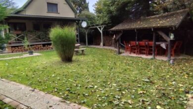 Kispatak Erdei Ház Verőce 