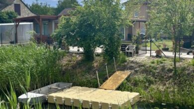 Kisvasút Vendégház Balatonfenyves 