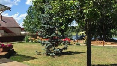 Kisviza Vendégház Baja 