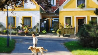 Kóczián Pihenőház Kőszeg 