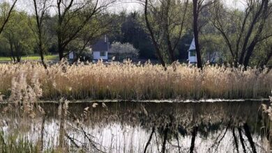 Kökényház Vendégház Kötcse 
