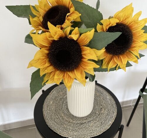 Konvoj Szálló Budapest 