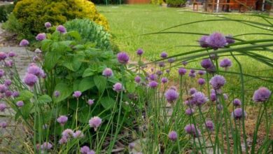 Kormos Apartmanház Szilvásvárad 