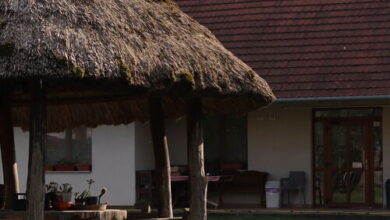 Koroknai Porta Báránd 