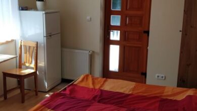 Körte Lak Pilisborosjenő 