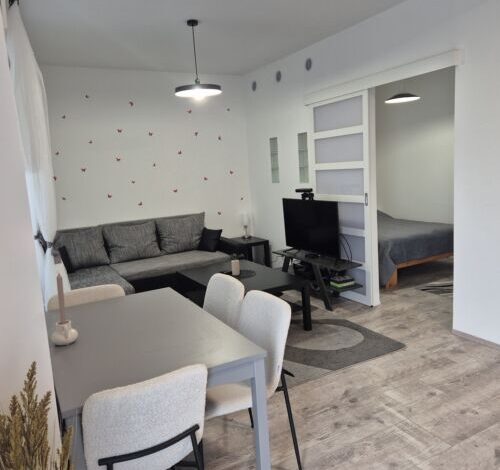 Kossuth Apartman Szeged 