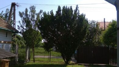 Kovácsék Háza Poroszló 