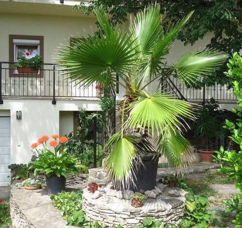 Kővirág Apartman Hévíz 