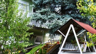 Kuczkó Apartman Balatonalmádi 