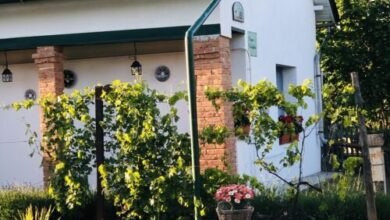 Kupica Vendégház Abádszalók 